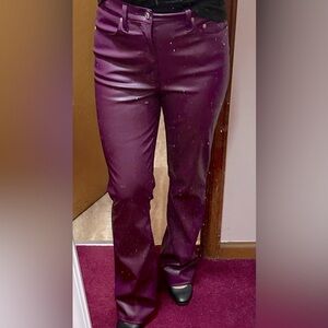 Daze Copy Cat faux leather pants. Size 28
